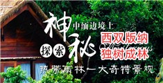 大白逼网址