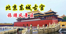 激情操屄影视传媒中国北京-东城古宫旅游风景区